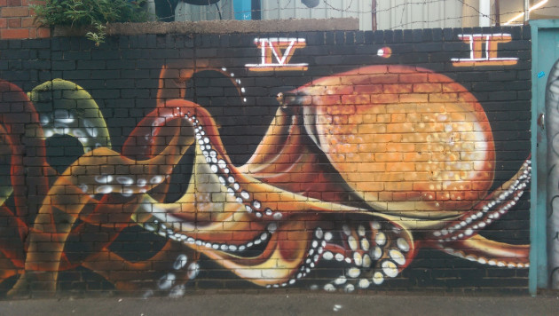 Octopus wall mural